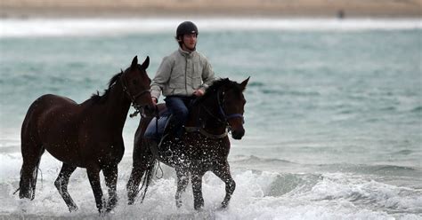 ciaron maher net worth|The rapid rise of Ciaron Maher in the sport of kings.